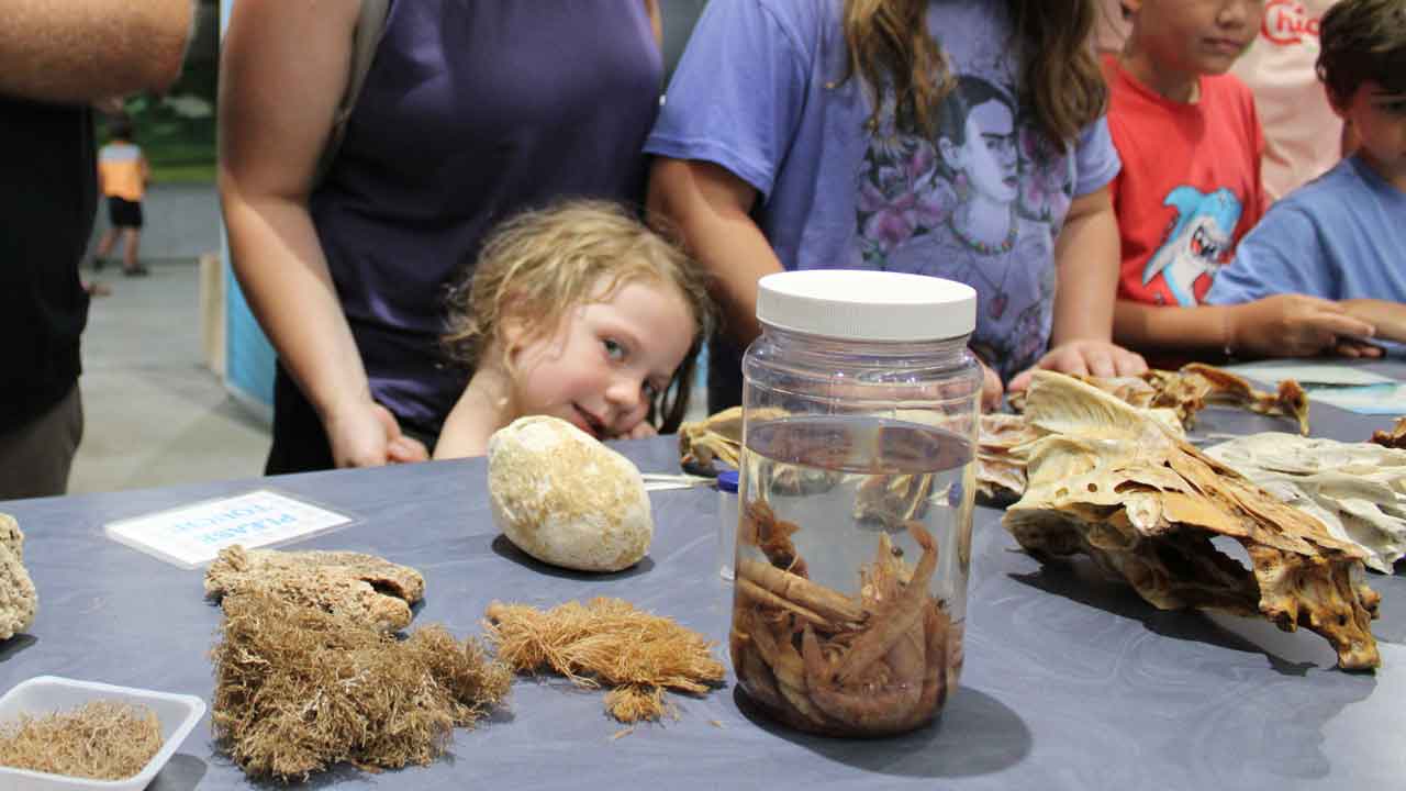 young girl stands at touch table