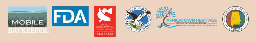 collaborating agencies and partners