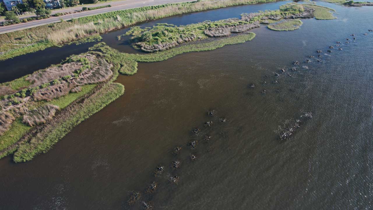 breakwaters and marsh edge of project greenshores.