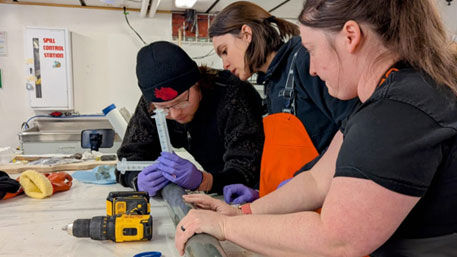 collecting gas samples from sediment core