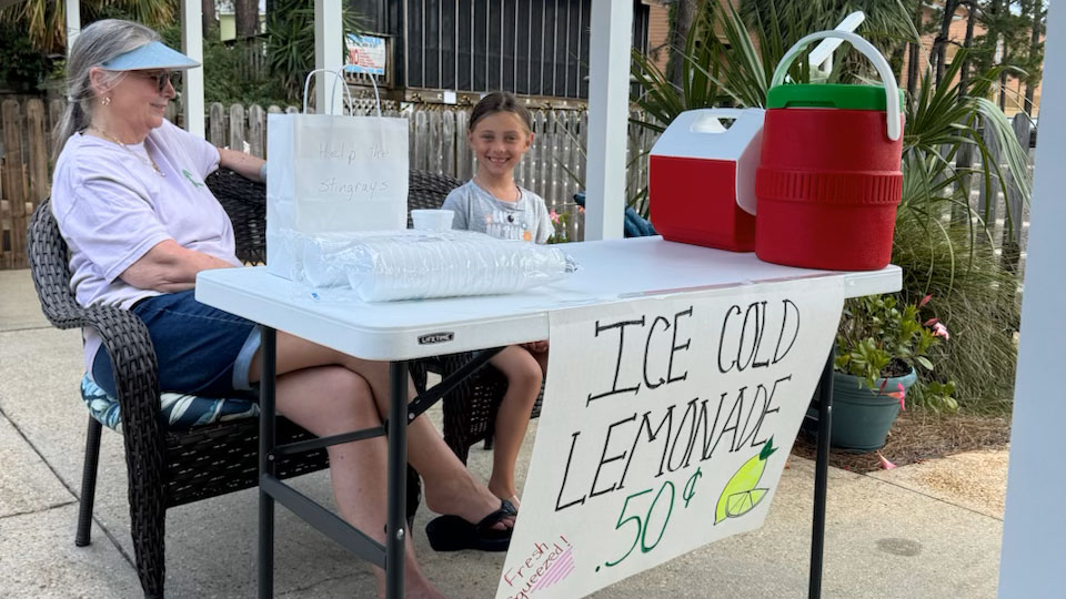 olivia and lemonade stand