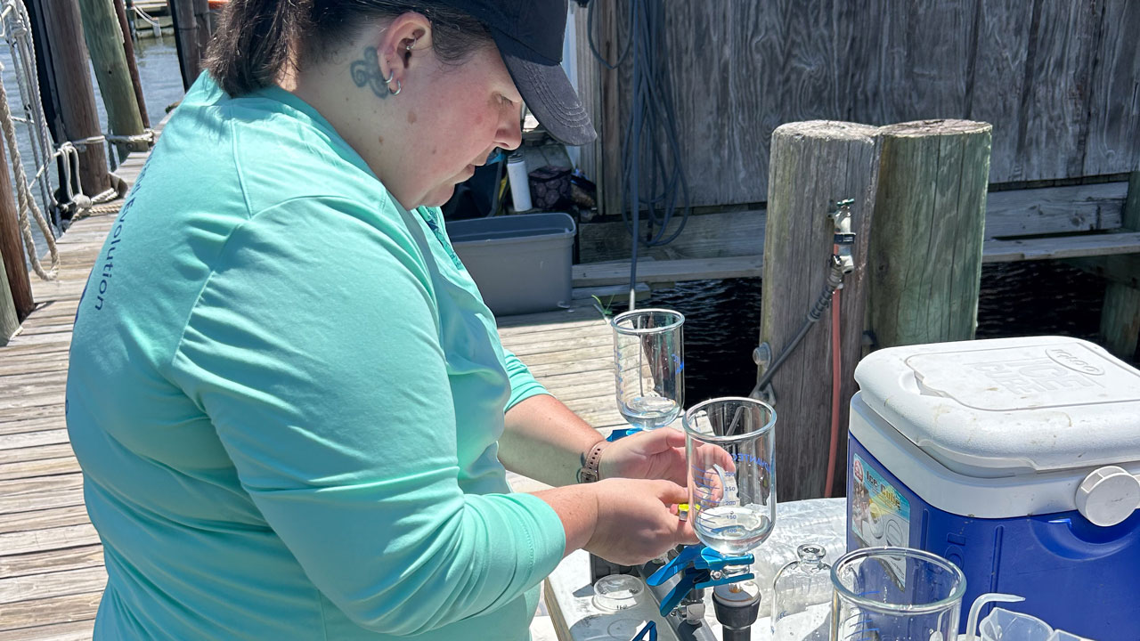 Device used to measure oyster feeding efficiency.