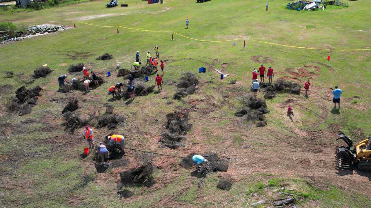 Volunteers collect oysters from reefblk breakwaters.