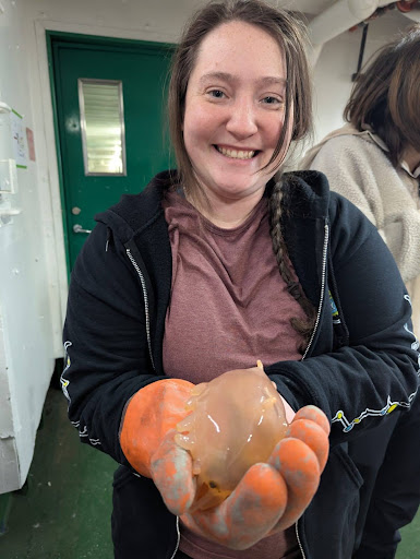 A Sea Pig held carefully by Lydia Hayes-Guastella (PhD Student Researcher)